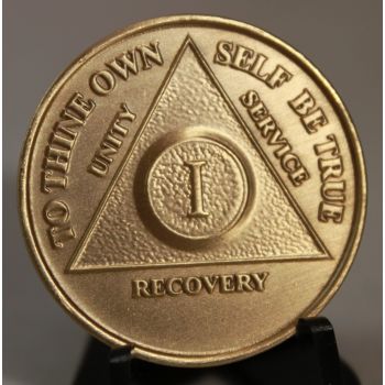Steps to Recovery Aluminum AA Medallions AA chips 1 Day at a Time Gold 