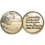 "Serenity isn’t the freedom from the storm" AA Affirmation Medallion