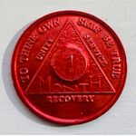 Red Aluminum One Month Sober Coin