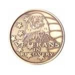 AA Group - Veterans in Recovery Medallion | Sober Medallions