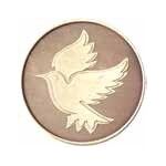 NA Chip - Kindness Medallions | Sober Medallions