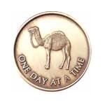 Sober Chip - One Day At A Time Camel  | Sober Medallions
