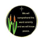 AA Coin - Dragonfly Designer Coin  | Sober Medallions