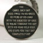 The Camel AA Chip Roll of 25