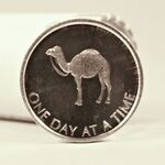 One Month Sober Coin - Camel One Day At A Time Aluminum Desire Chip | Sober Medallions