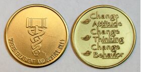 Drug Court Bronze AA Medallion