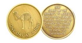 Sober Ship - One Day at a Time Camel Serenity Prayer | Sober Medallions
