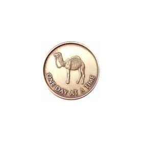 Al-anon Medallion - One Day at a Time Camel | Sober Medallions