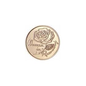 NA Chips - Women in Recovery Bronze | Sober Medallions