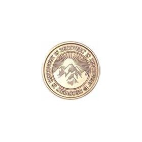 Recovery is Discovery Bronze AA Medallion -Roll of 25