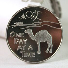 The Camel AA Coin Roll of 25