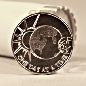 AA Sobriety Chips - Sun & World One Day | Sober Medallions