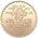 AA Tokens - Native American Rainbow Premium Medallion | Sober Medallions