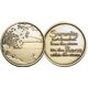 "Serenity isn’t the freedom from the storm" AA Affirmation Medallion