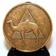 Camel AA Bronze Medallion