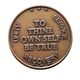 Sobriety Gifts - Bronze AA Medallion | Sober Medallions