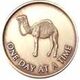 Sober Chip - One Day At A Time Camel  | Sober Medallions