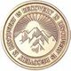 Al-anon Coin - Recovery is Discover Bronze | Sober Medallions