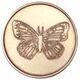 AA Program - Butterfly Serenity Prayer | Sober Medallions